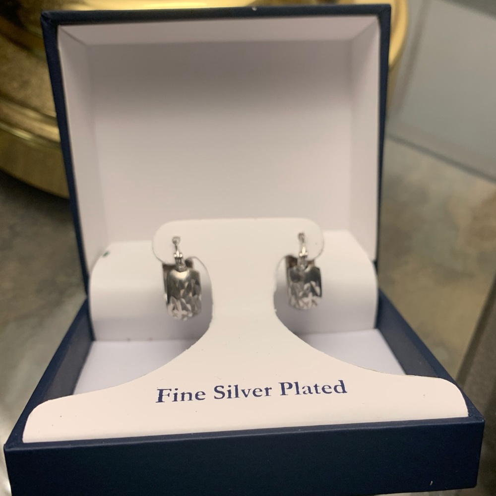 Fine Silver Plated Loop Earrings